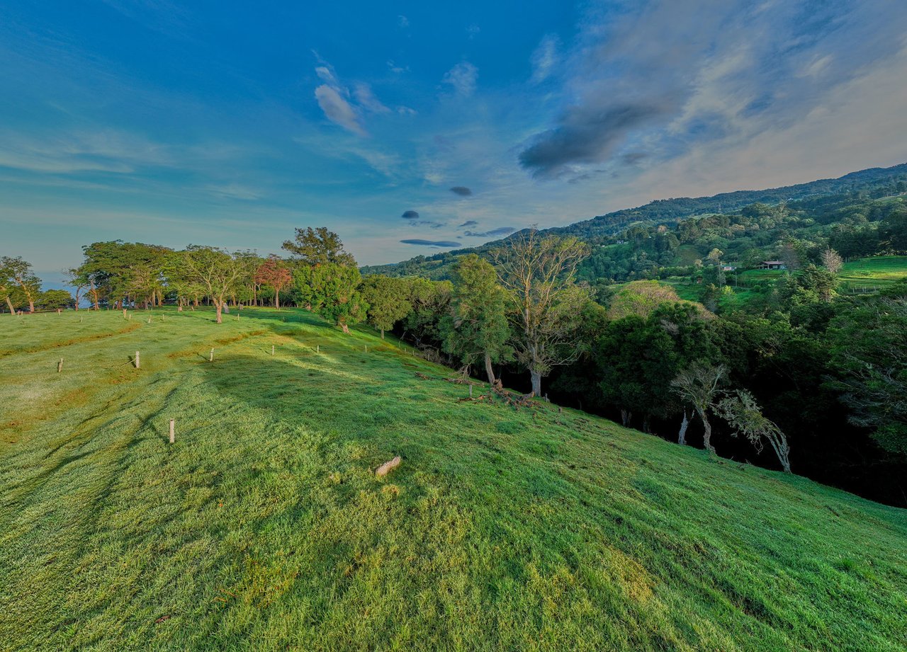 Vast Mountain Farm Acreage, Heredia