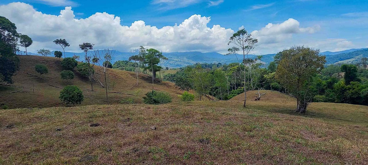 84 ACRES RIO MORENOS VIEWS OF THE PACIFIC 