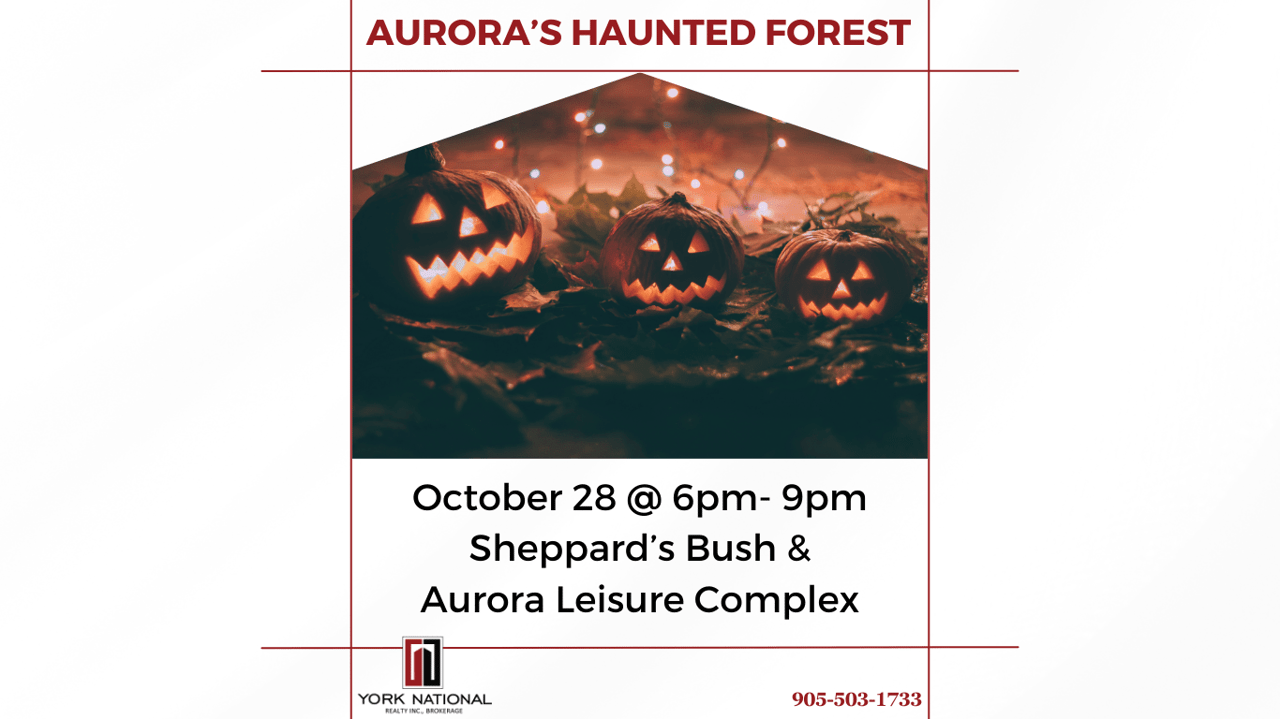 Aurora's Haunted Forest