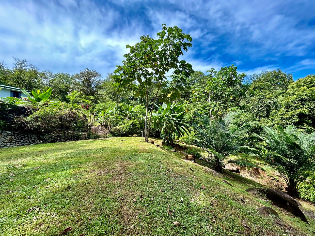 Secret Paradise Property in Altos de la Colonia