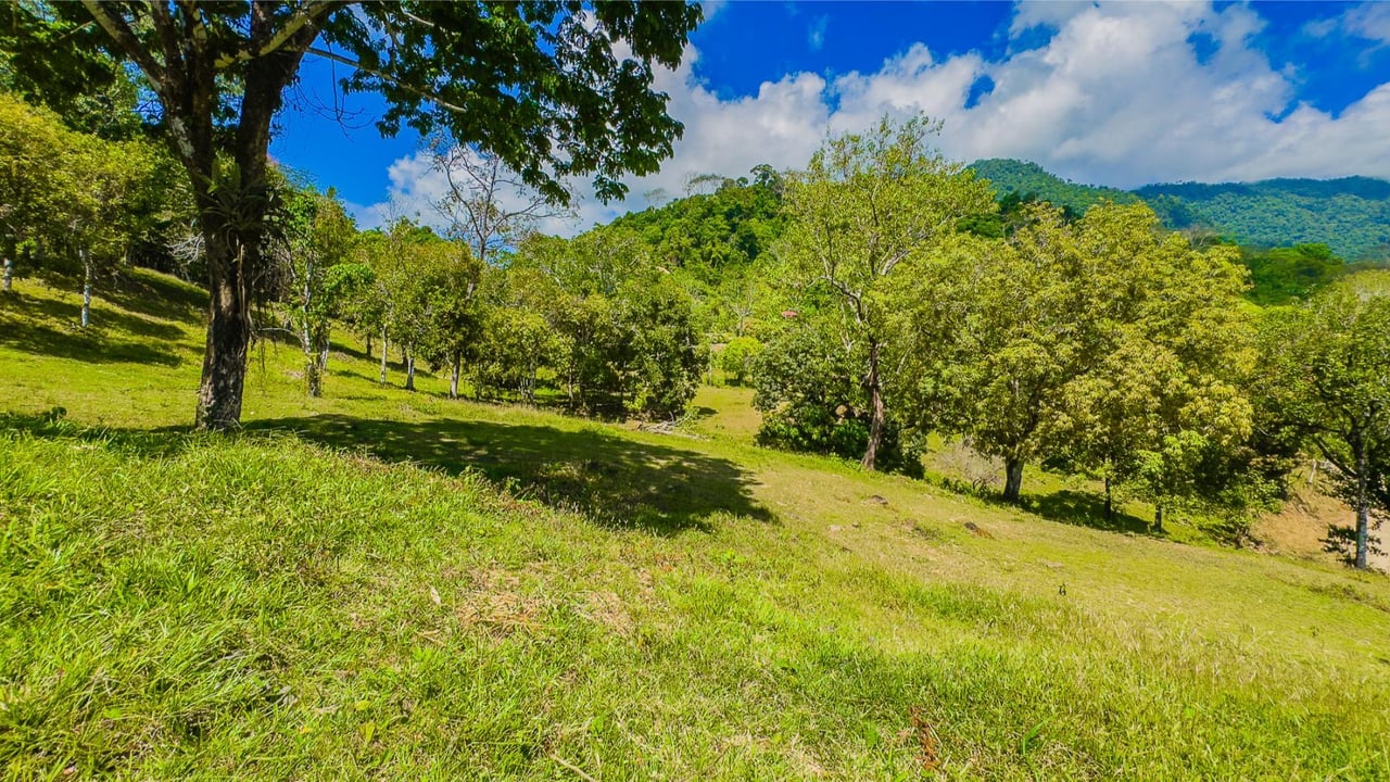 Private Mountain View Building Lot, Ojochal, Puntarenas