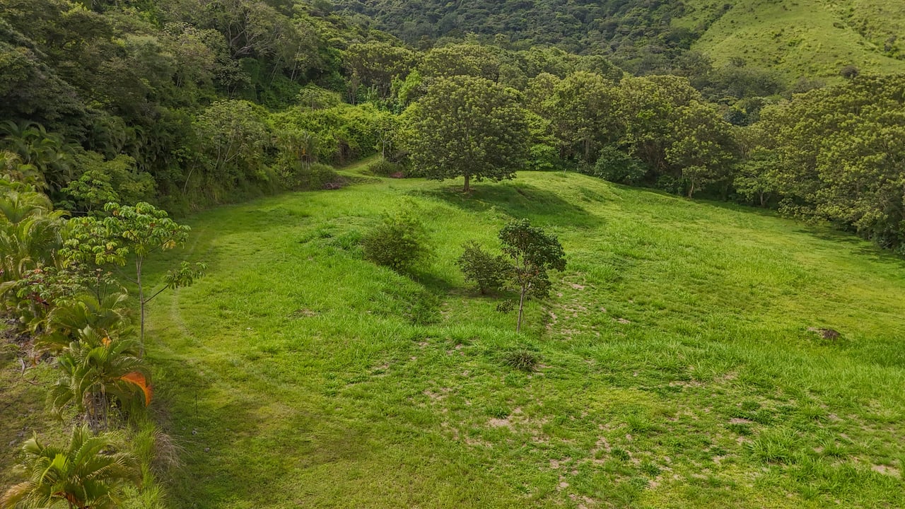 Subdivided Mountain View Land, Atenas, Alajuela