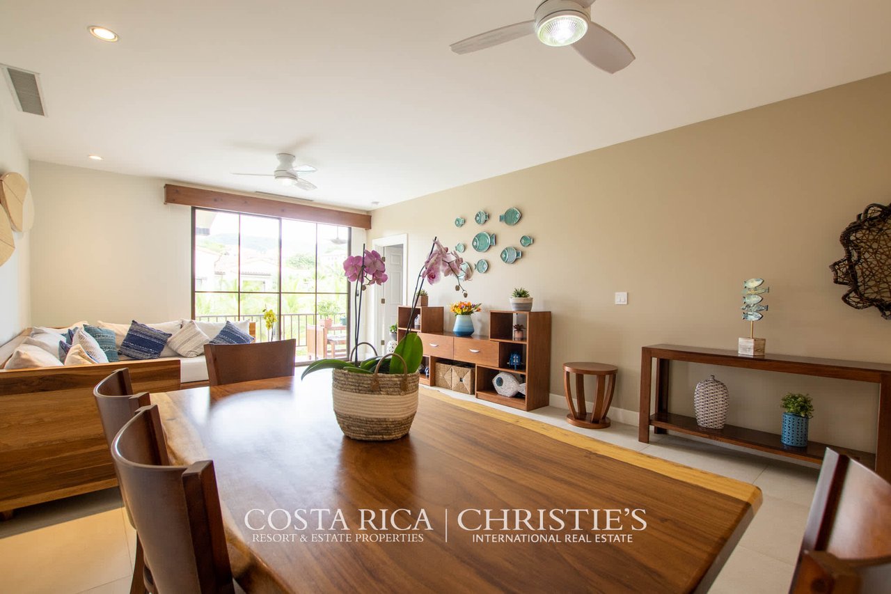 Pacifico Lifestyle 217