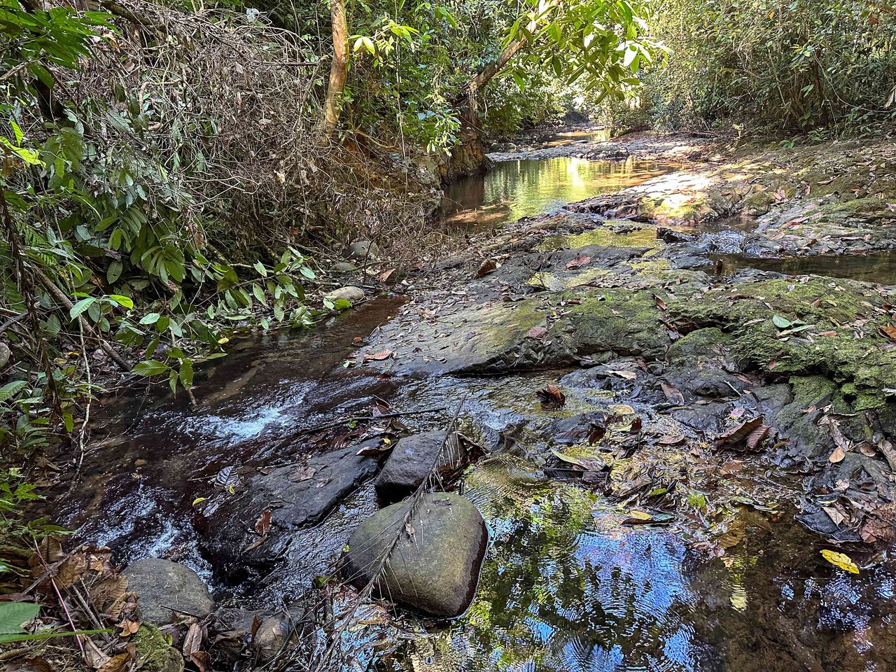 A 1-bedroom loft PERFECT for a couple or an Airbnb rental – plus a HUGE jungle backyard with a year-round river and many magical swimming holes – and a lot of flat land for further development!