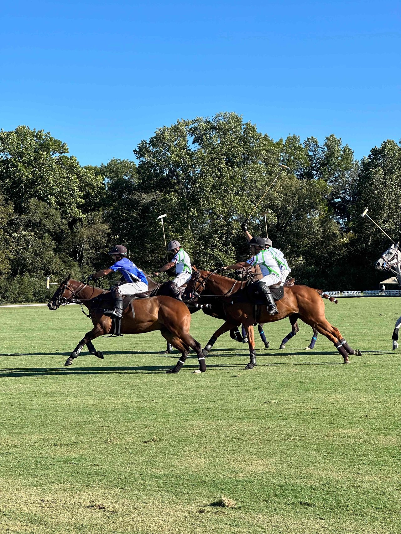 A Fabulous Day at the Nashville Polo Fields with B&B Luxury Properties