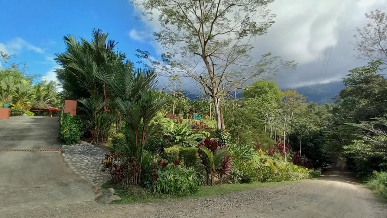Casa Ballena Views