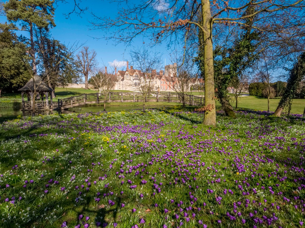 wildflowers gazebo chiltern