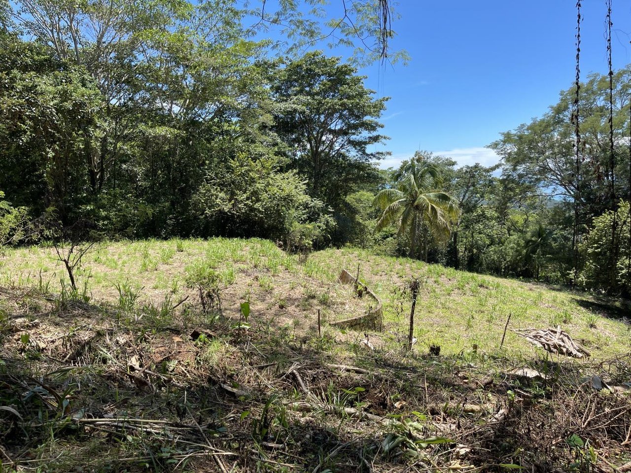 5.4 Acres, Amazing Ocean View Acreage With Multiple Building Sites!!!