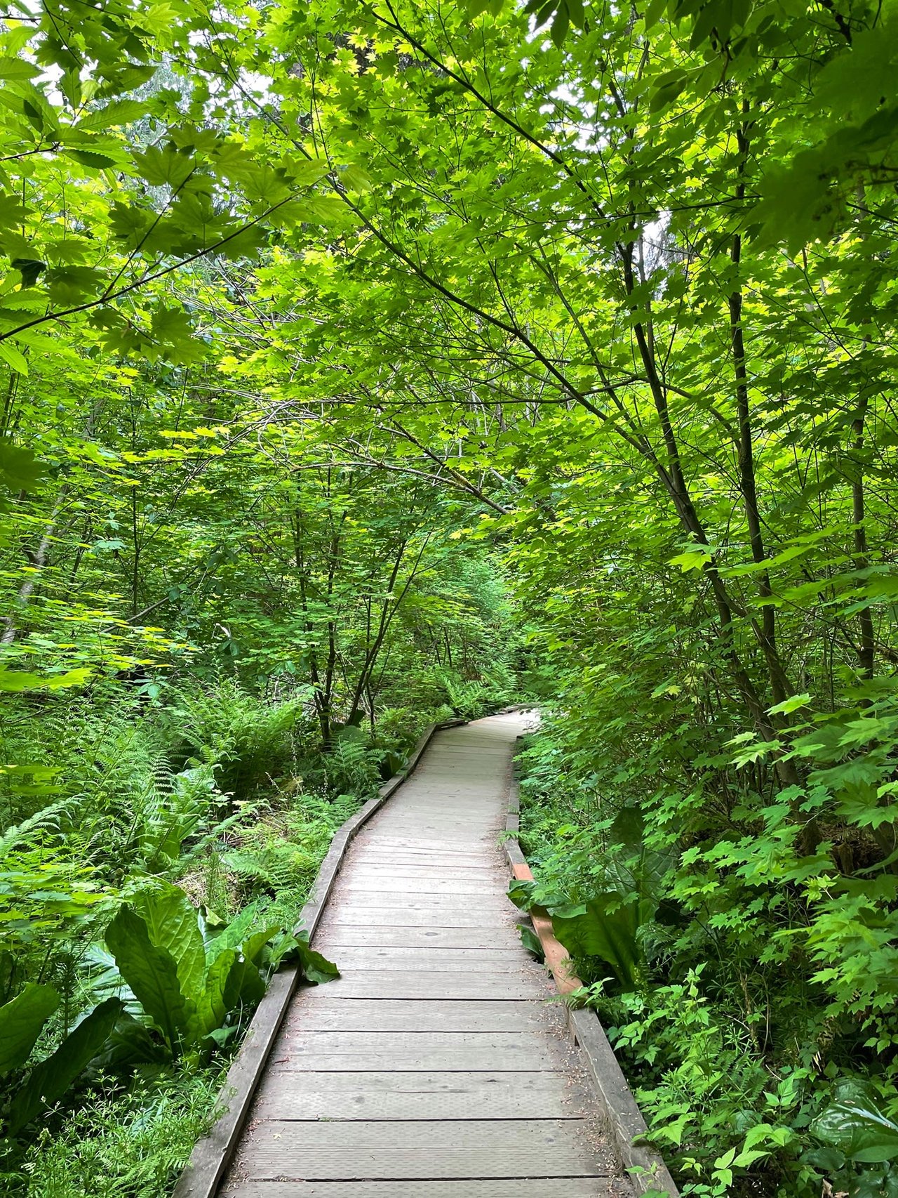 National Parks of the Northwest