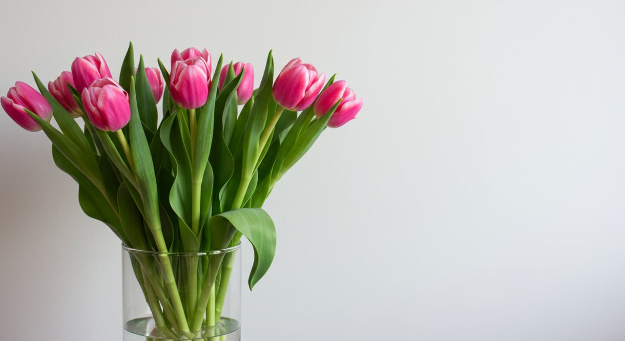 DIY Projects Around Your Home