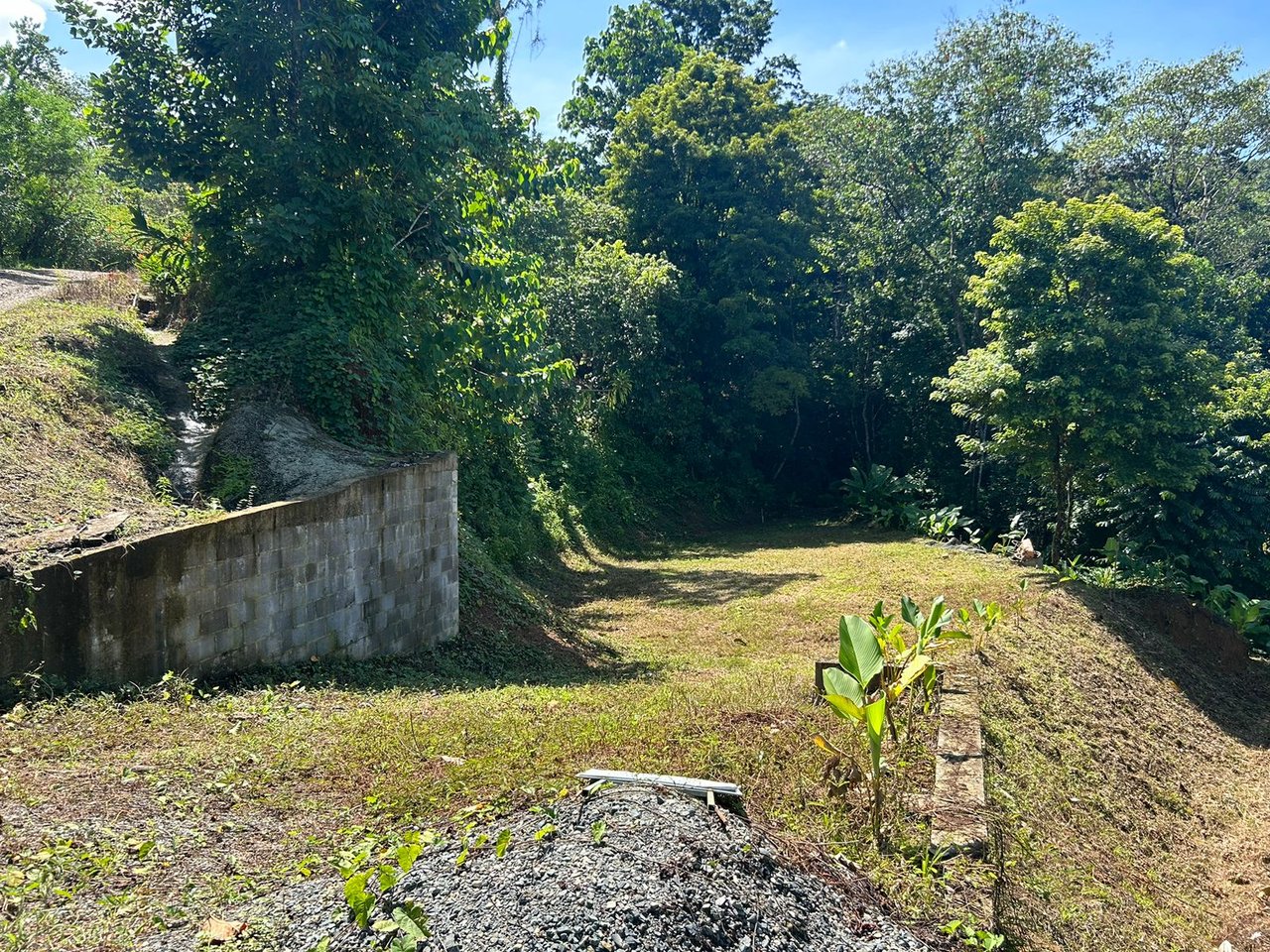 Reasonable Lot for sale in Uvita