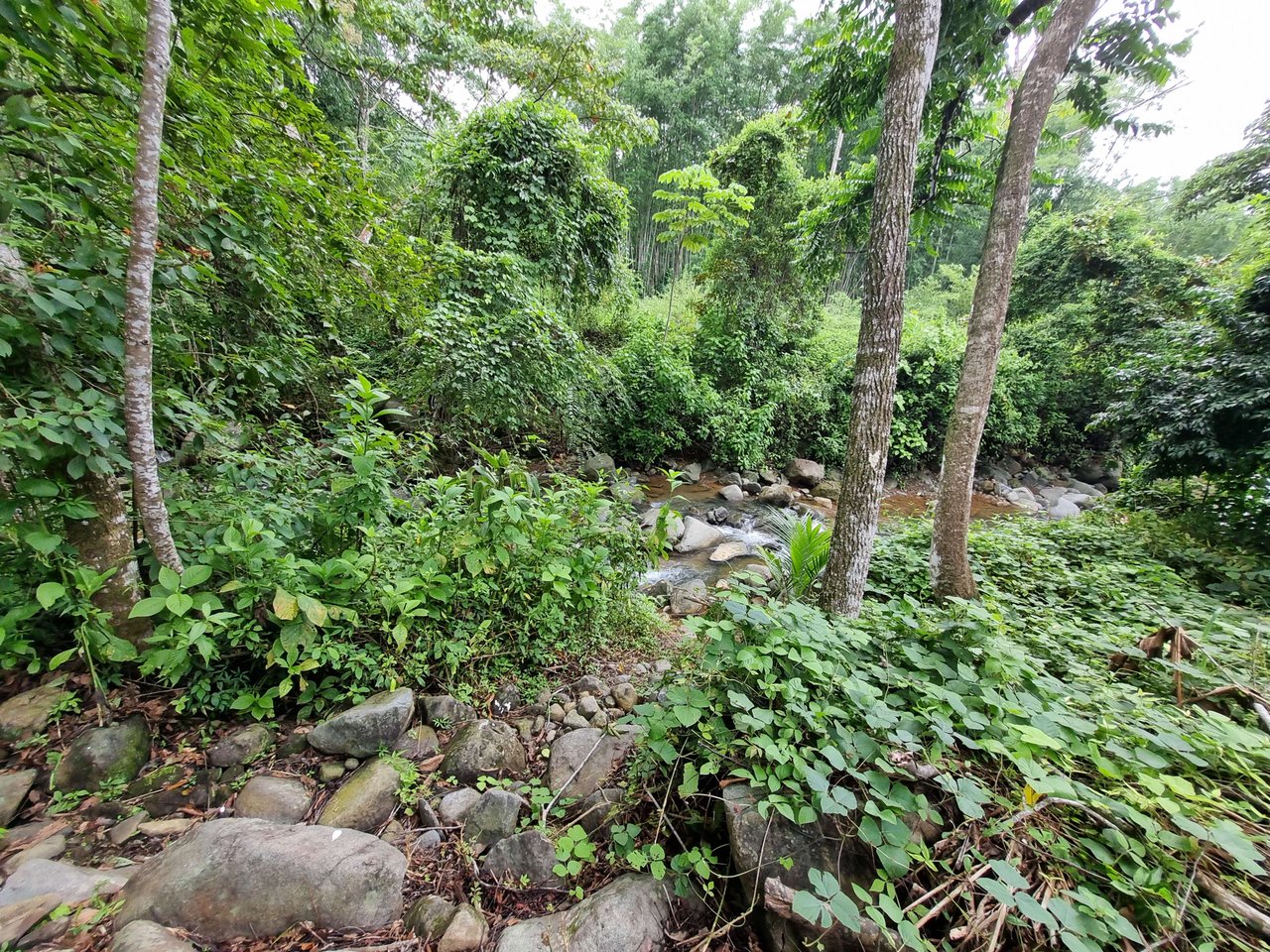 Riverfront Dream Property