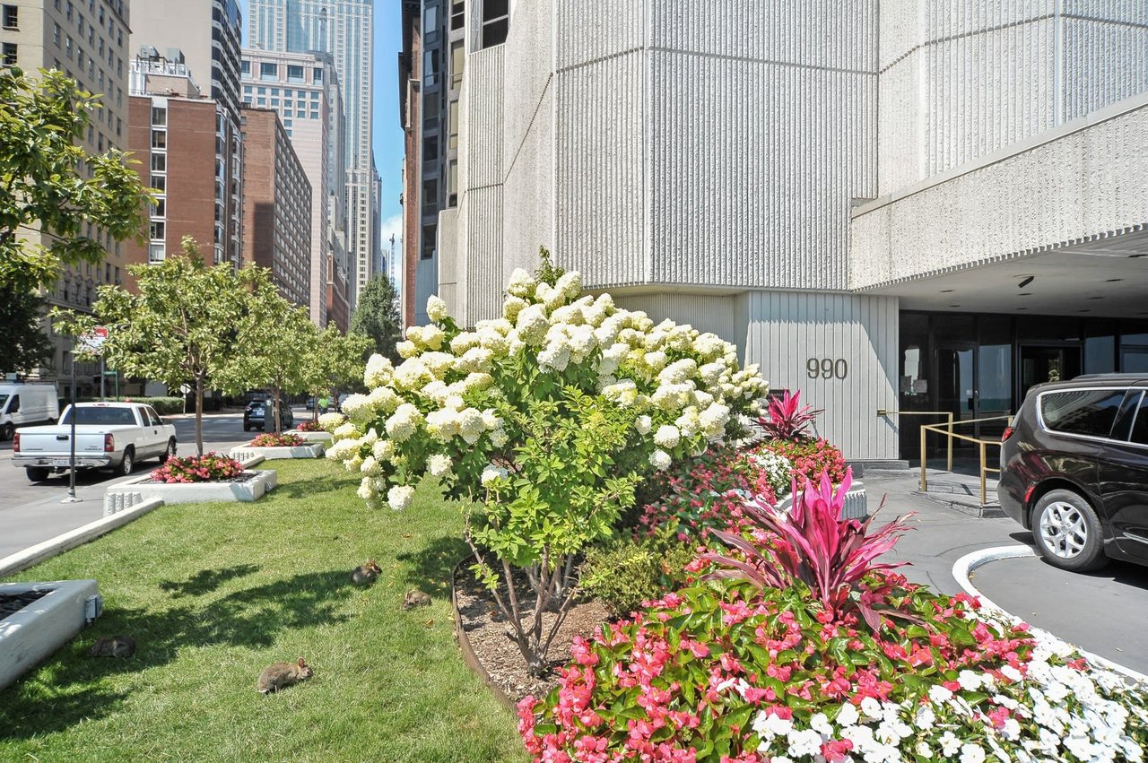 990 N Lake Shore Drive, #20B