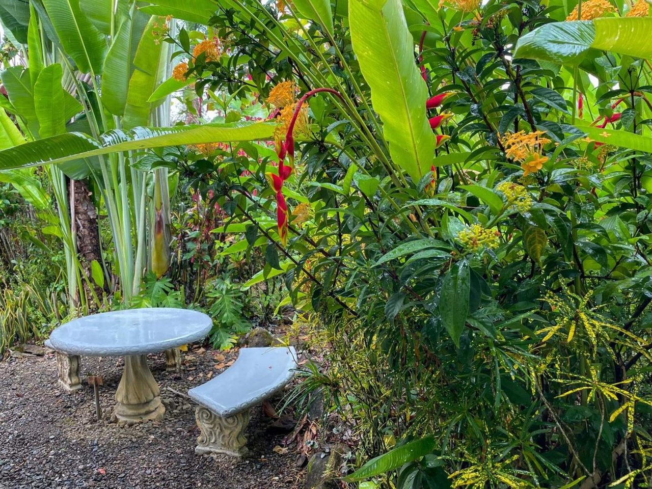Tropical Orchard Estate, Ojochal, Puntarenas