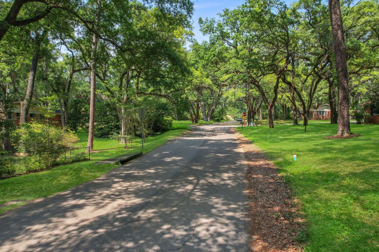 A ground-level view of a road in Forest Heights Hollow, lined with tall trees and surrounded by greenery.