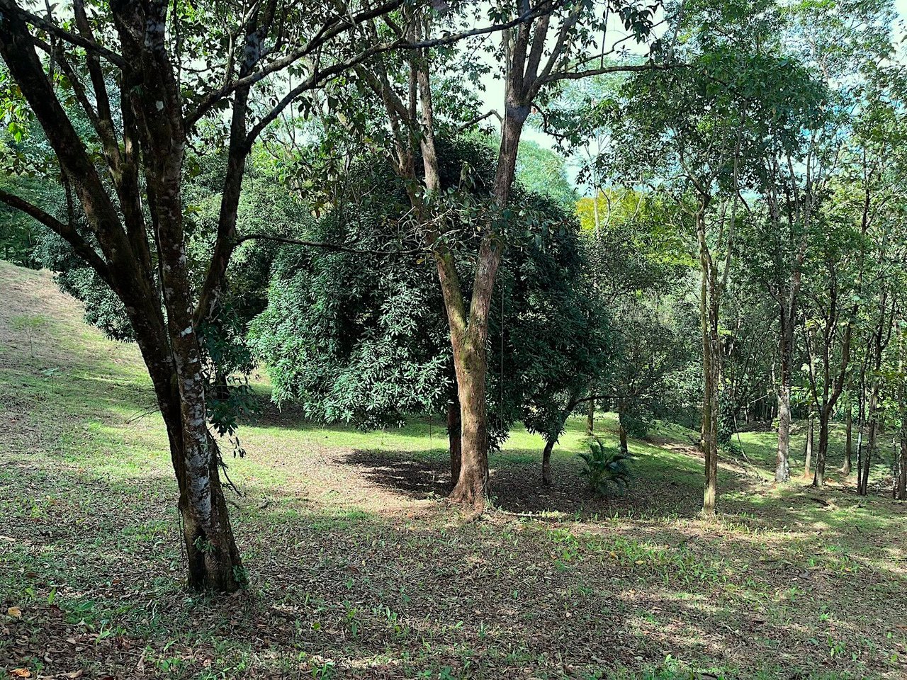 Luxury Development Land, Uvita, Puntarenas