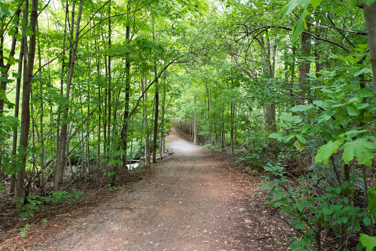 College Park image 0
