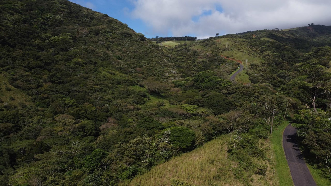 Rio Chiquito Farm | This farm offers an expansive canvas to bring your dreams to life in the majestic Guanacaste mountain rainforest region.