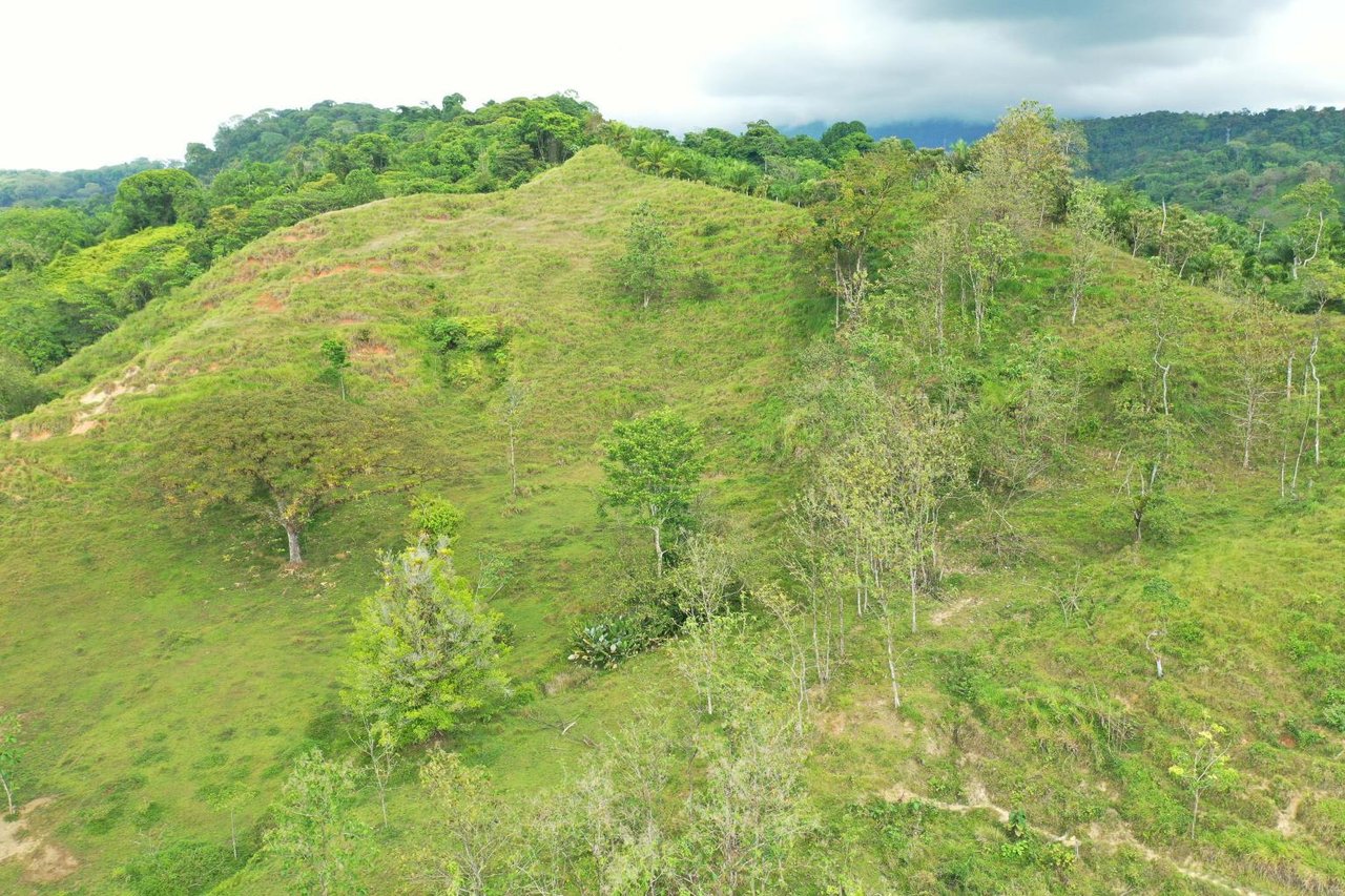 Prime 286-Acre Ocean View Property for Sale Near Quepos, Costa Rica – Ideal for Development