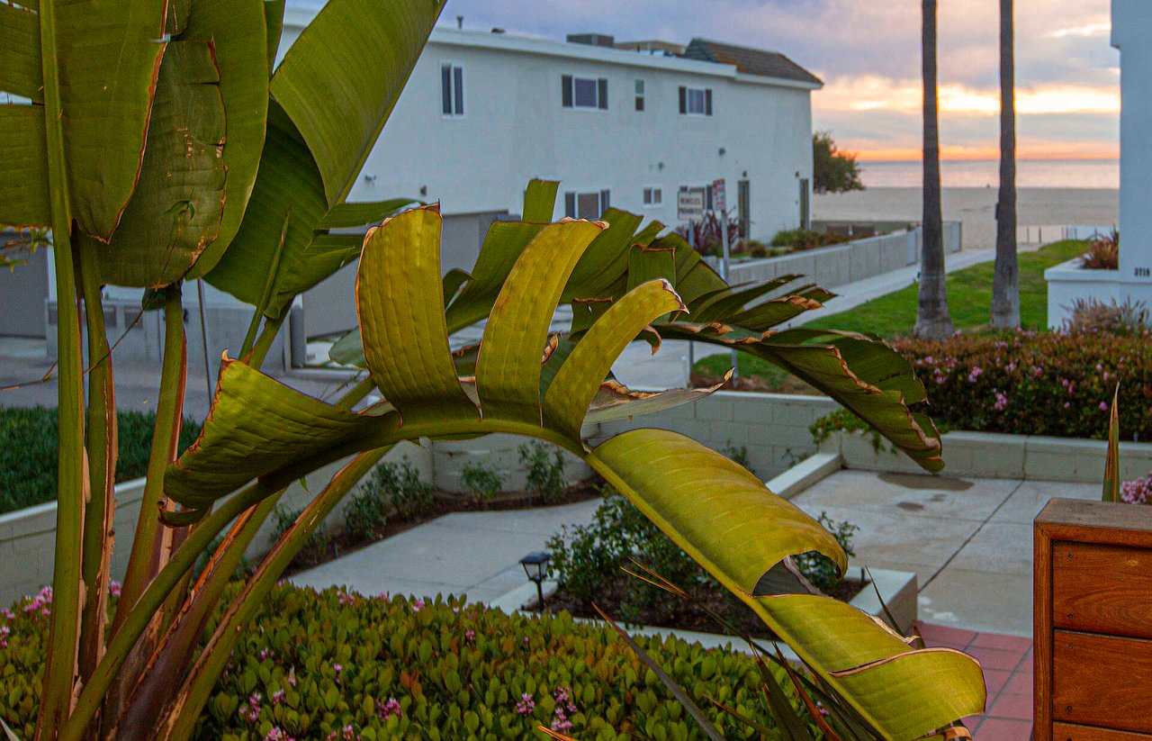 Marina del Rey Walk Street