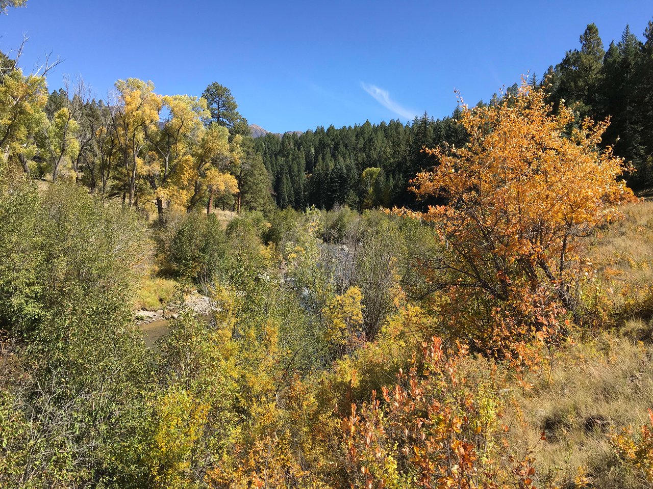 Southern Colorado Riverfront Mountain Ranch