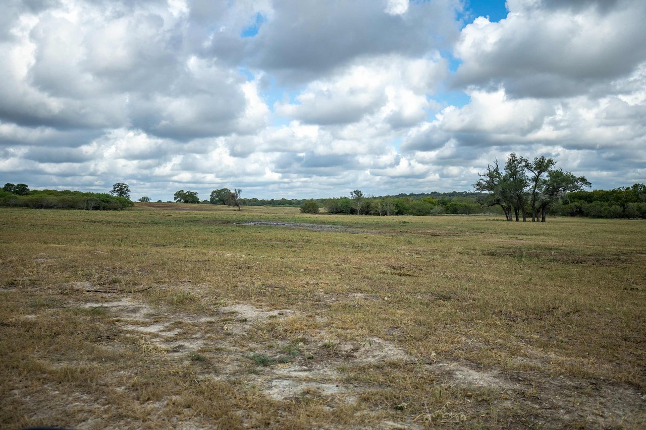 The Poco Loco | 278± Acres | DeWitt County
