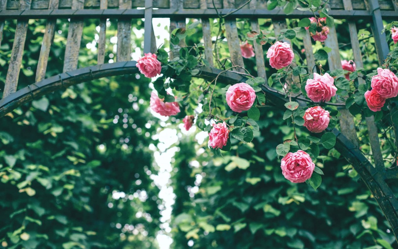 Hidden Gems in West Hartford