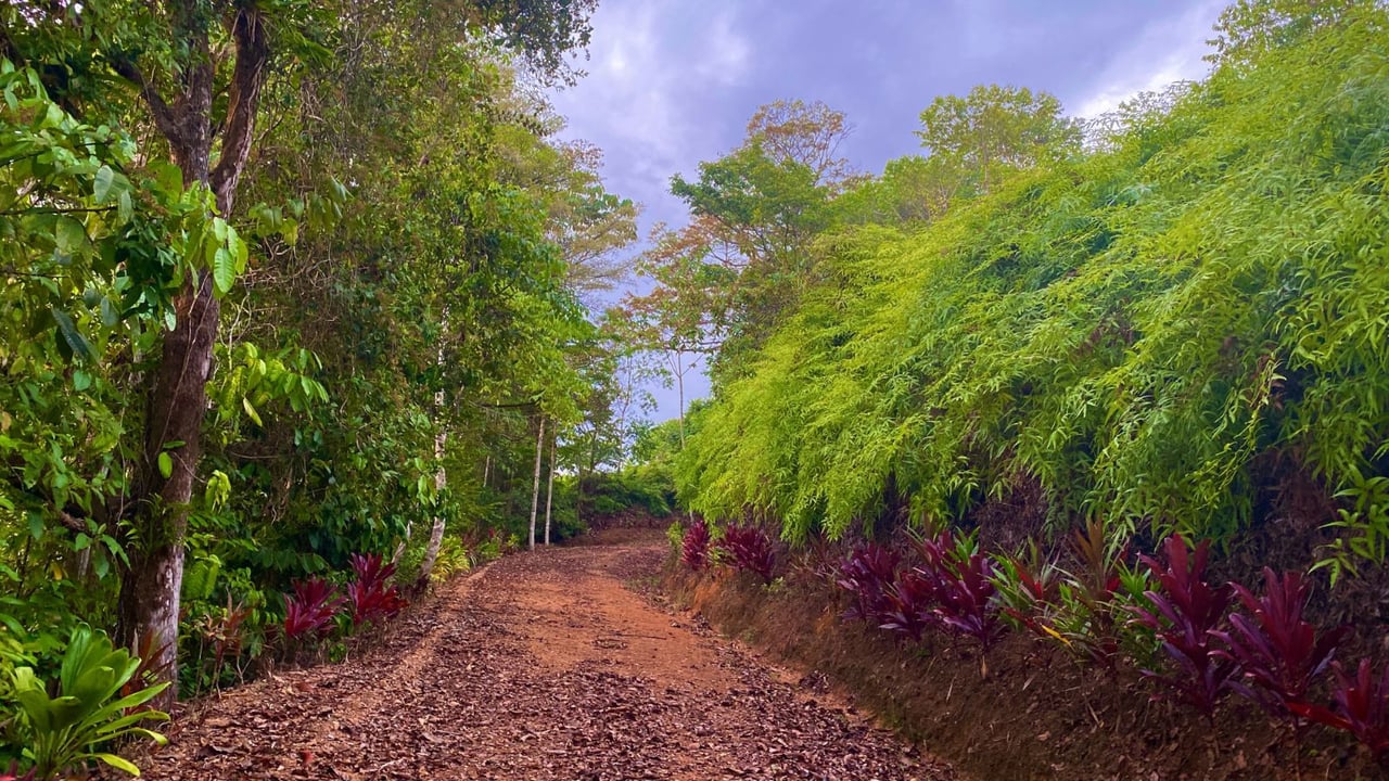Ocean View Development Land, Ojochal, Puntarenas