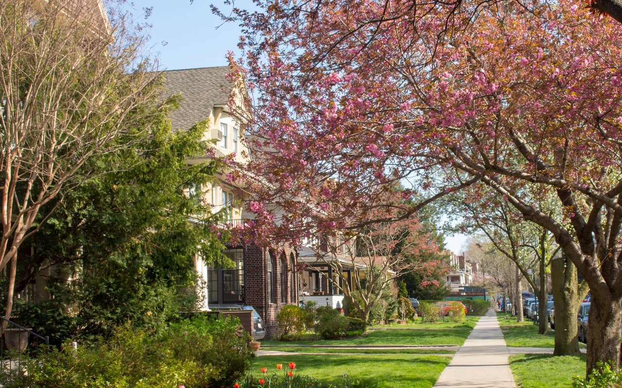 DITMAS PARK