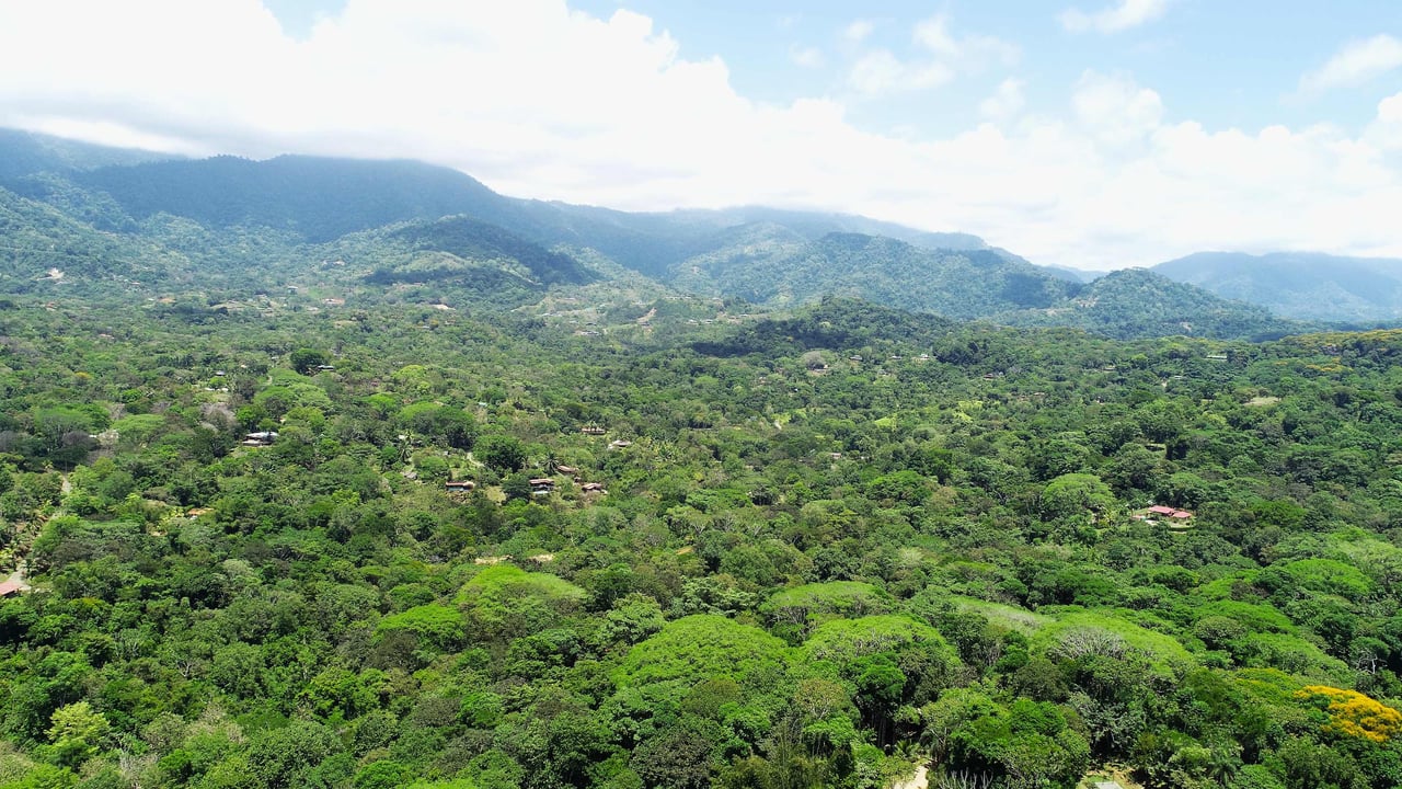 Over One Acre Attractive Lot on the Popular PEREZOSO Road.