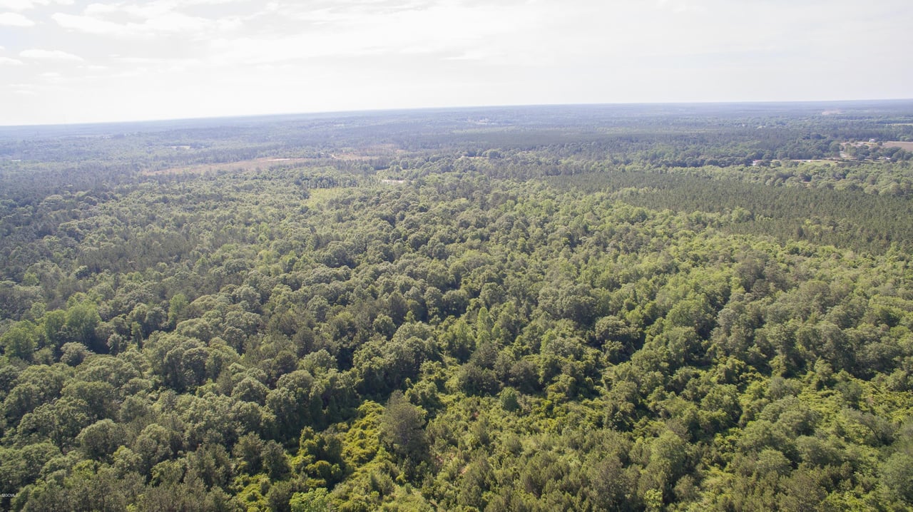 32331 Carey Smith Rd