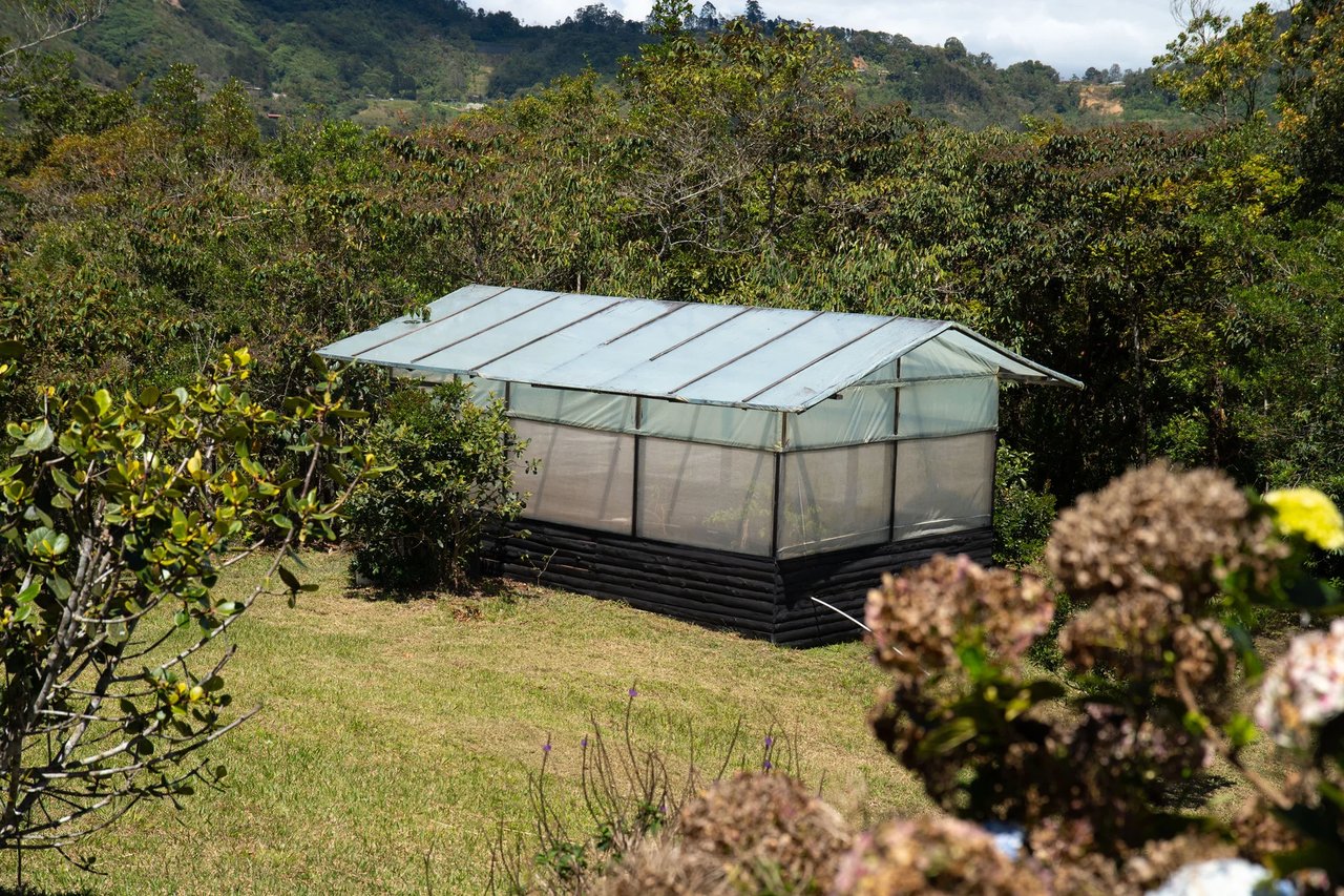 Sustainable Mountain Cabin, Cartago