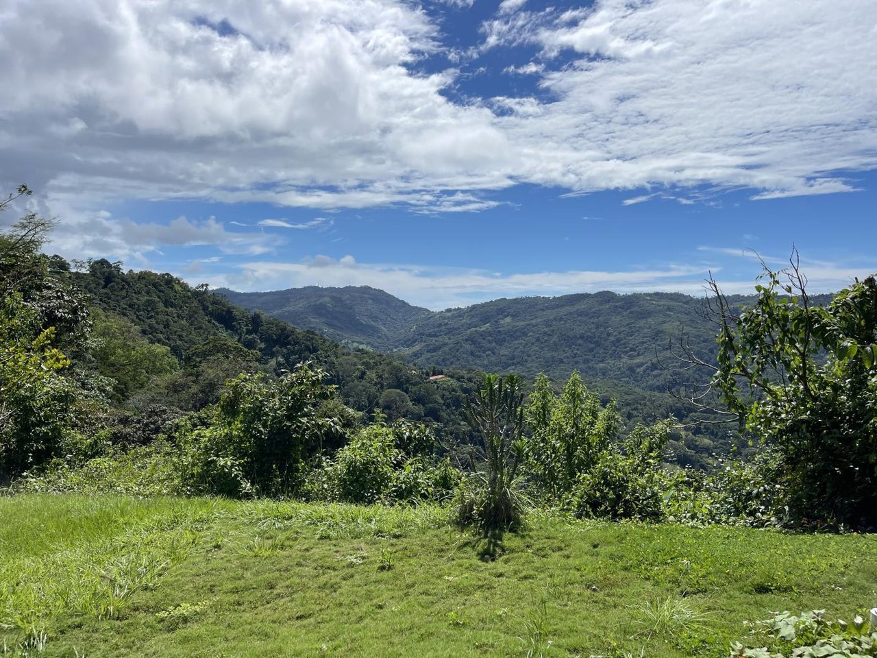 5.2 Acres, 2 Bedroom Home With 60 Ft Infinity Lap Pool, 1 Bedroom Guest House, Ocean View!