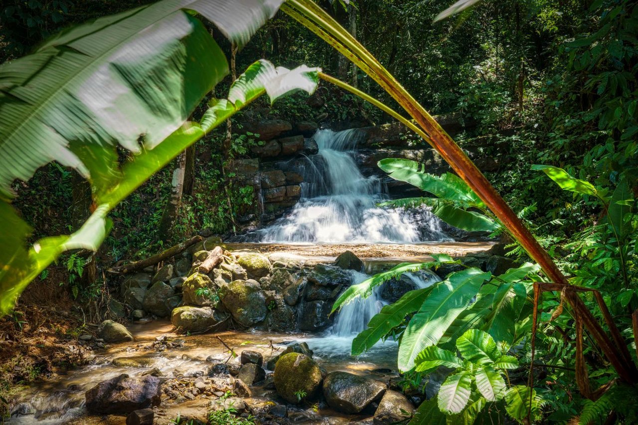 Waterfall Ocean View Land, Dominical, Puntarenas