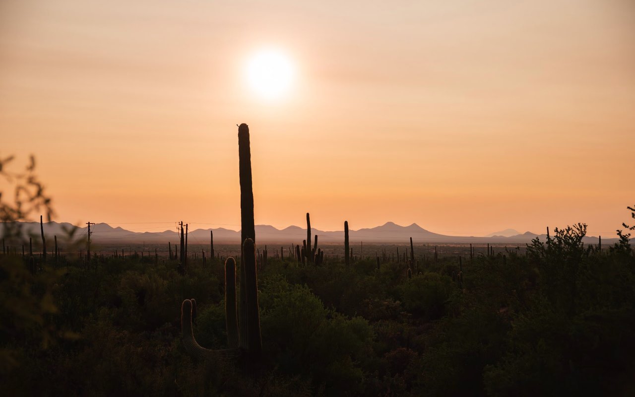 A Guide to Tucson Parks