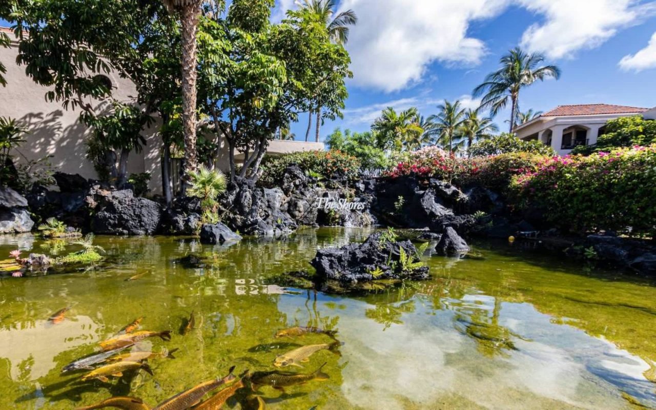 Are Open Houses a Good Idea?