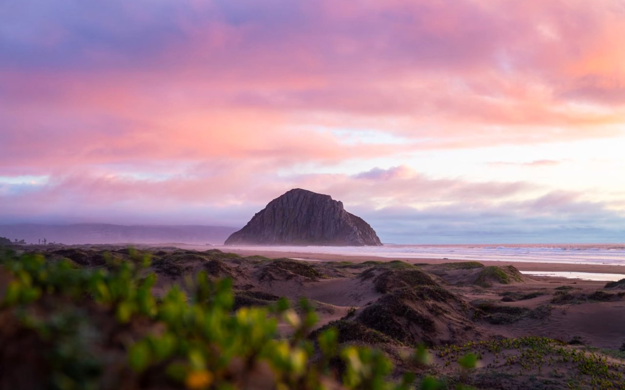 Morro Bay's Protected Open Space: The Beauty of Environmental Conservancy