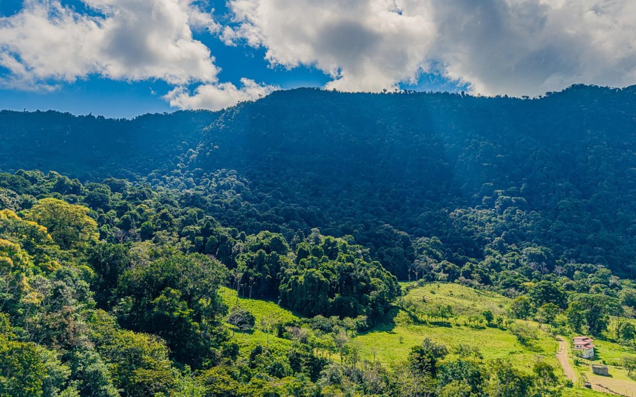 Off-Grid Regenerative Homestead, Perez Zeledon, San Jose