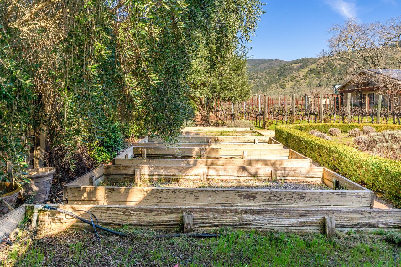 Vineyard Paradise - SOLD