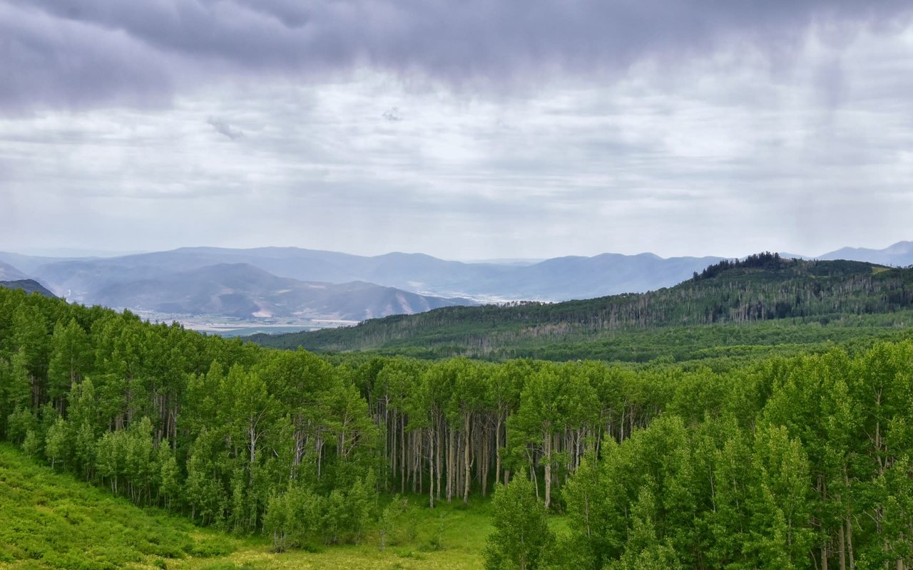 Midway / Heber