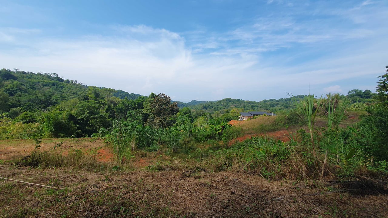 Peaceful Land for Sale