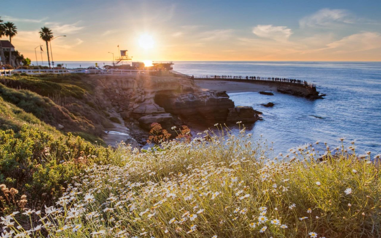 Why Living in La Jolla is so Popular