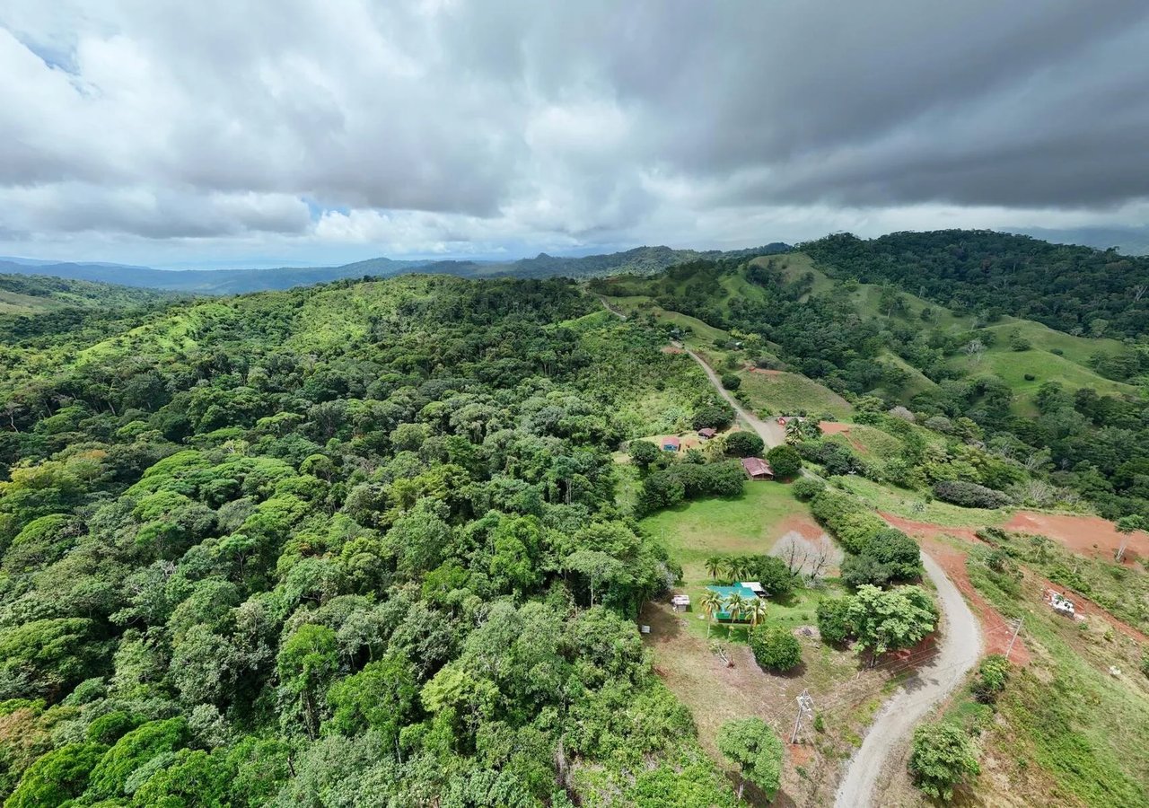 Riverside Rainforest Development Land, Osa, Puntarenas