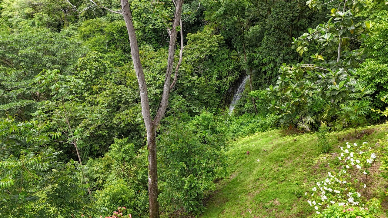 Multi-Home Luxury Estate, With Jungle, Mountain And Ocean Views, Private Waterfalls And Orchards On 71 Acres In Gated Community!