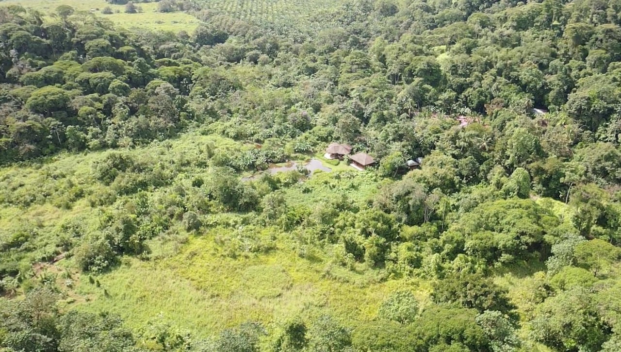 Sustainable Conservation Retreat, Osa, Puntarenas