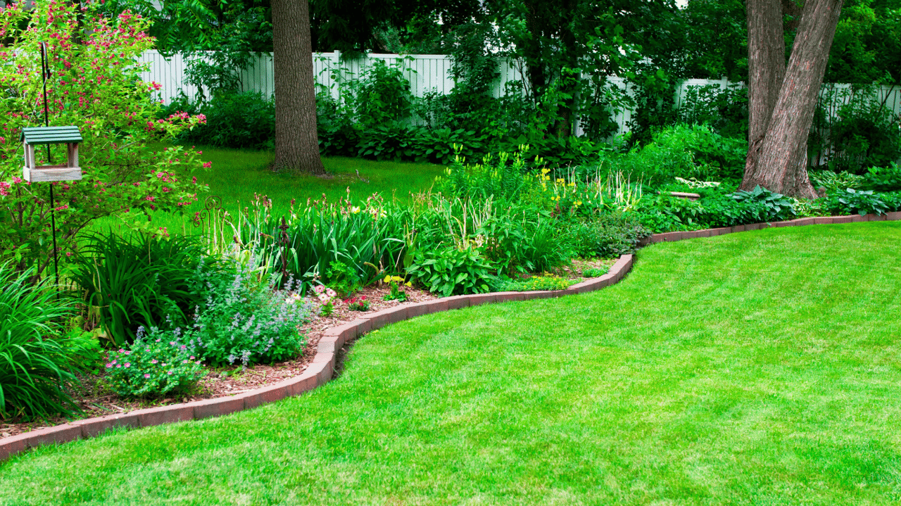 Transform Your Lawn: Easy Spring Care Tips for Southern California Homes!