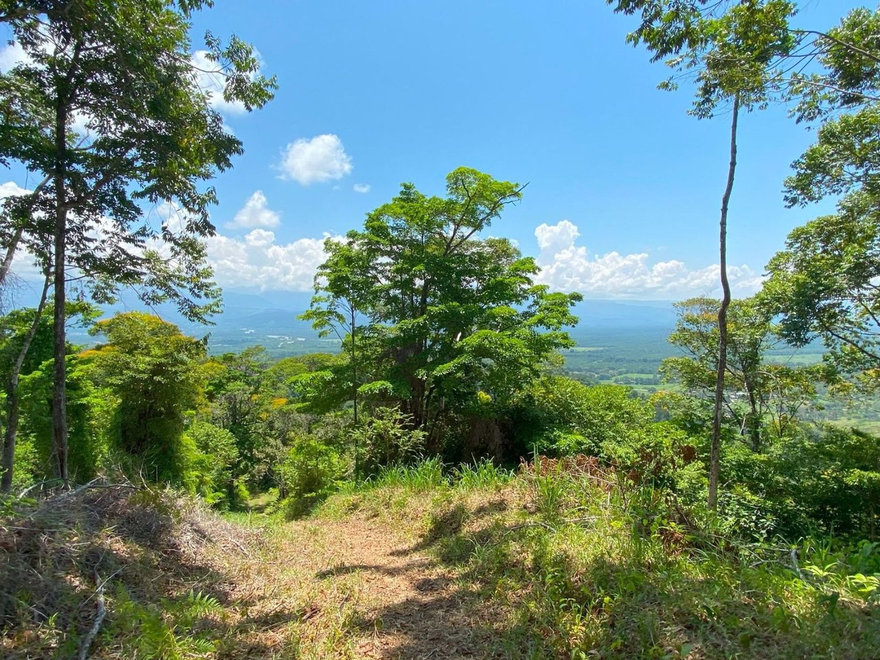 Mountain River View Farm, Osa, Puntarenas