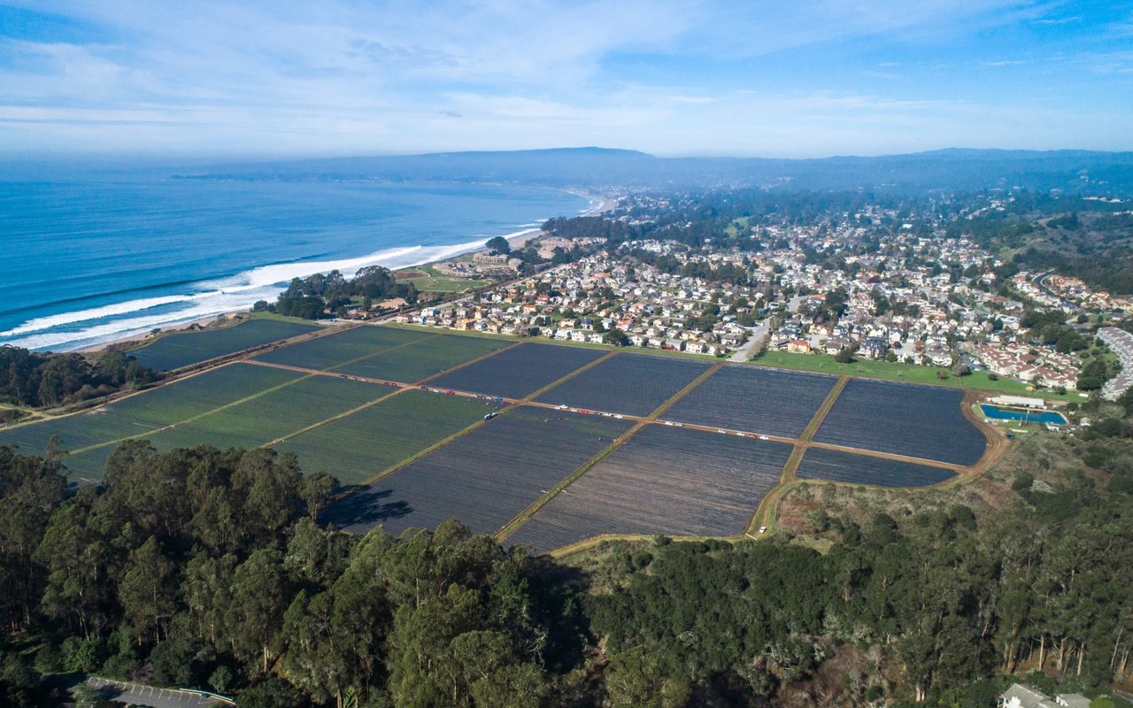 Seascape Bluffs