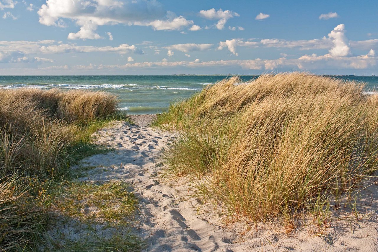 Beach Walk