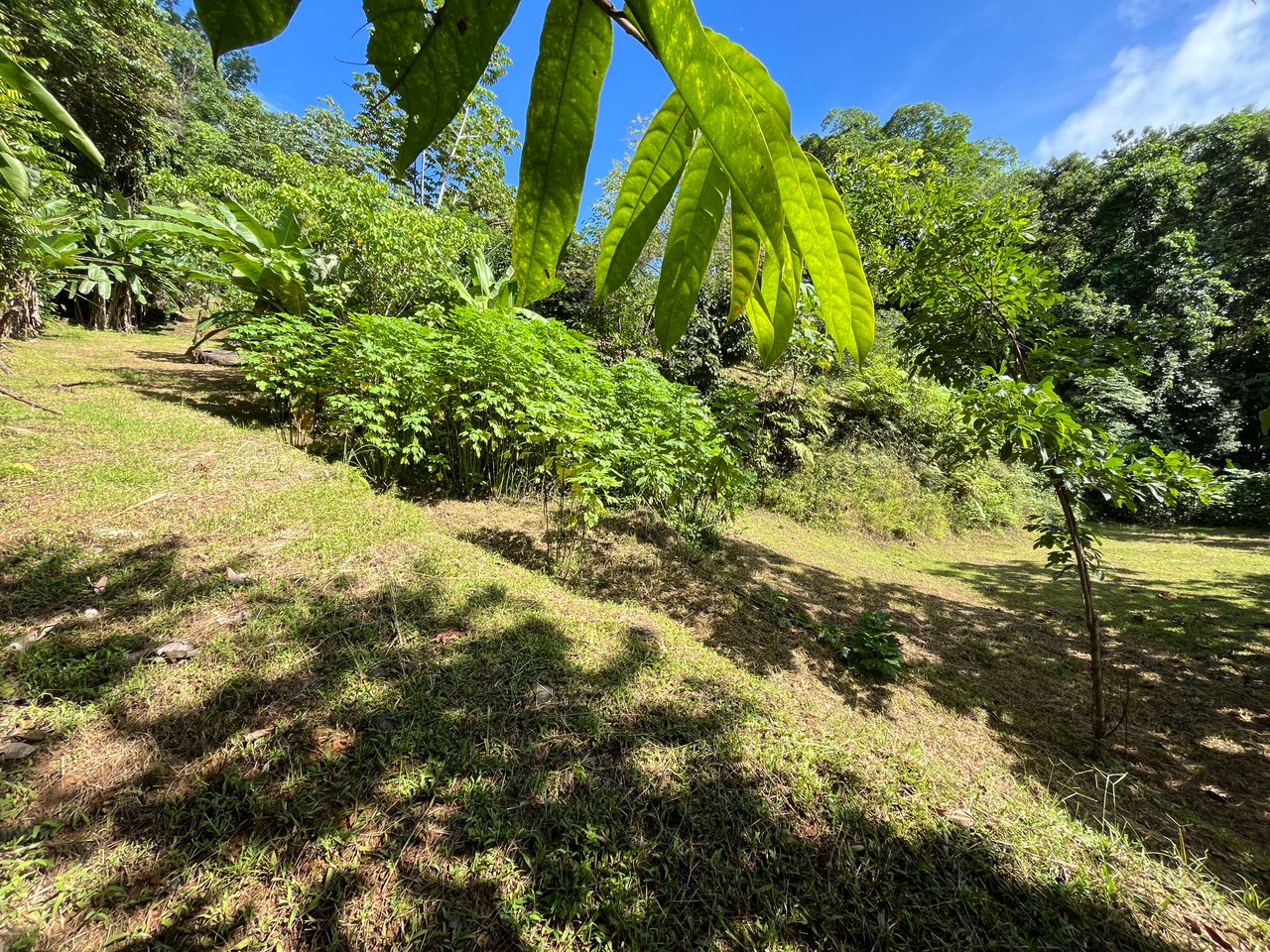 Costa Azul 120-degree Mountain View House With Costarican Wooden House as Lagniappe.